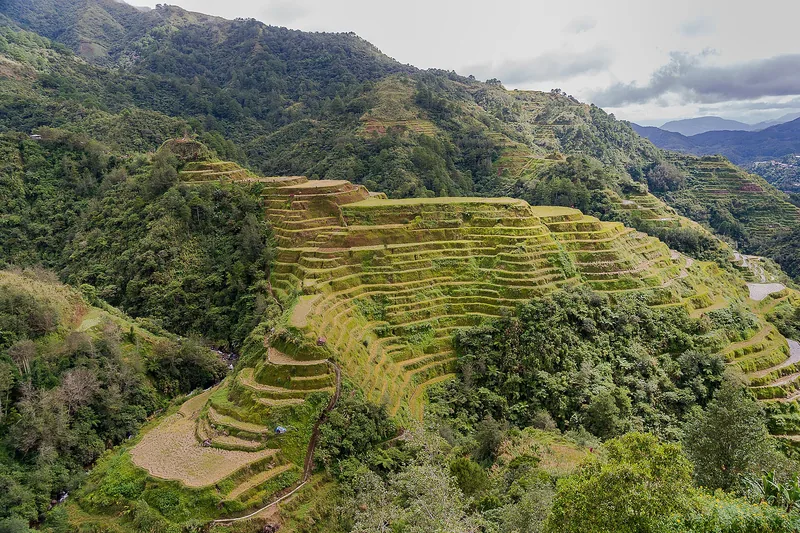 Reisterrassen bei Banaue