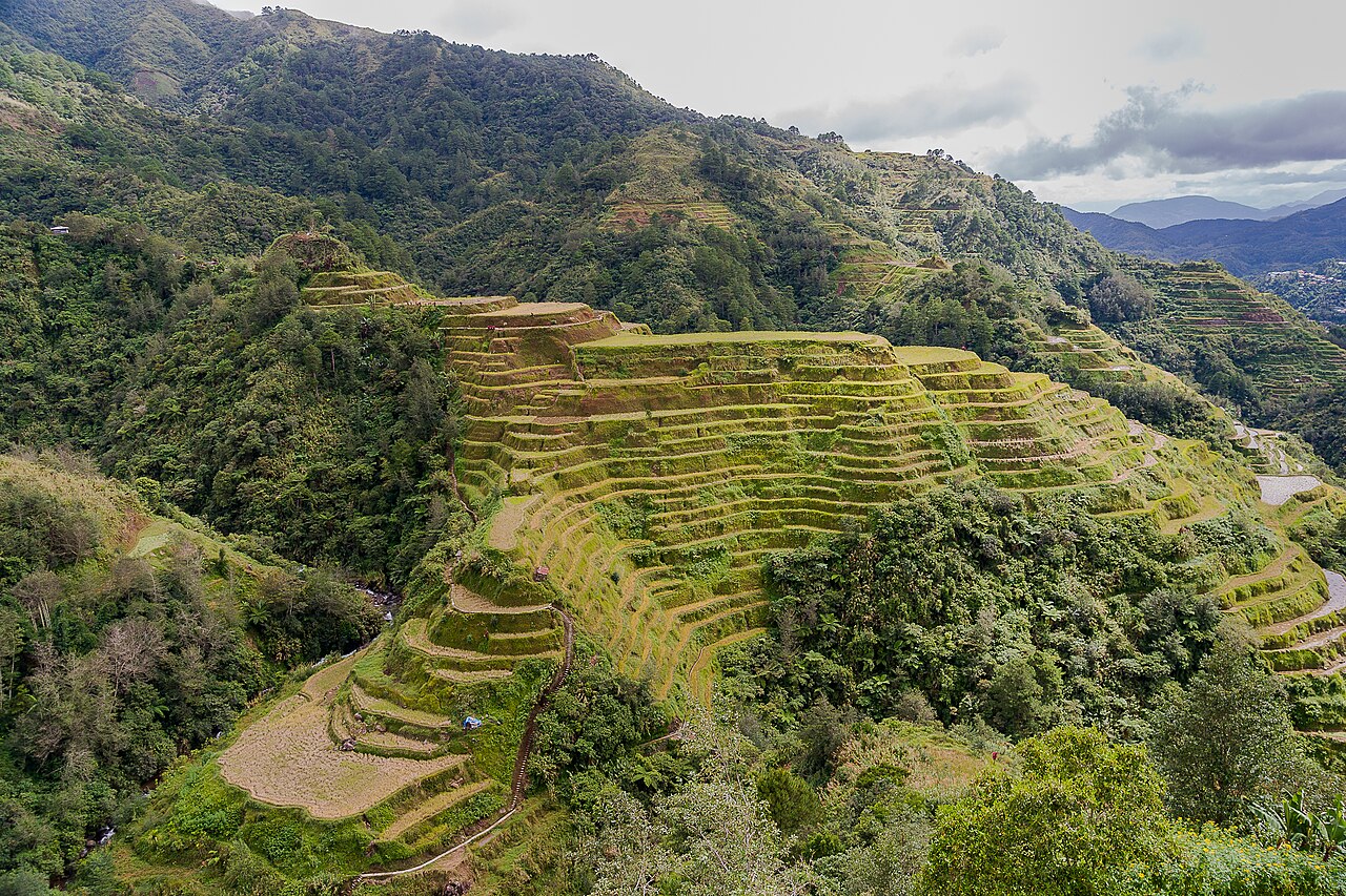 Reisterrassen bei Banaue