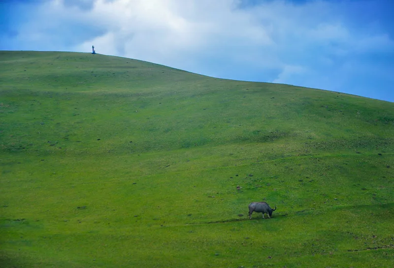 Hügellandschaft auf Batanes