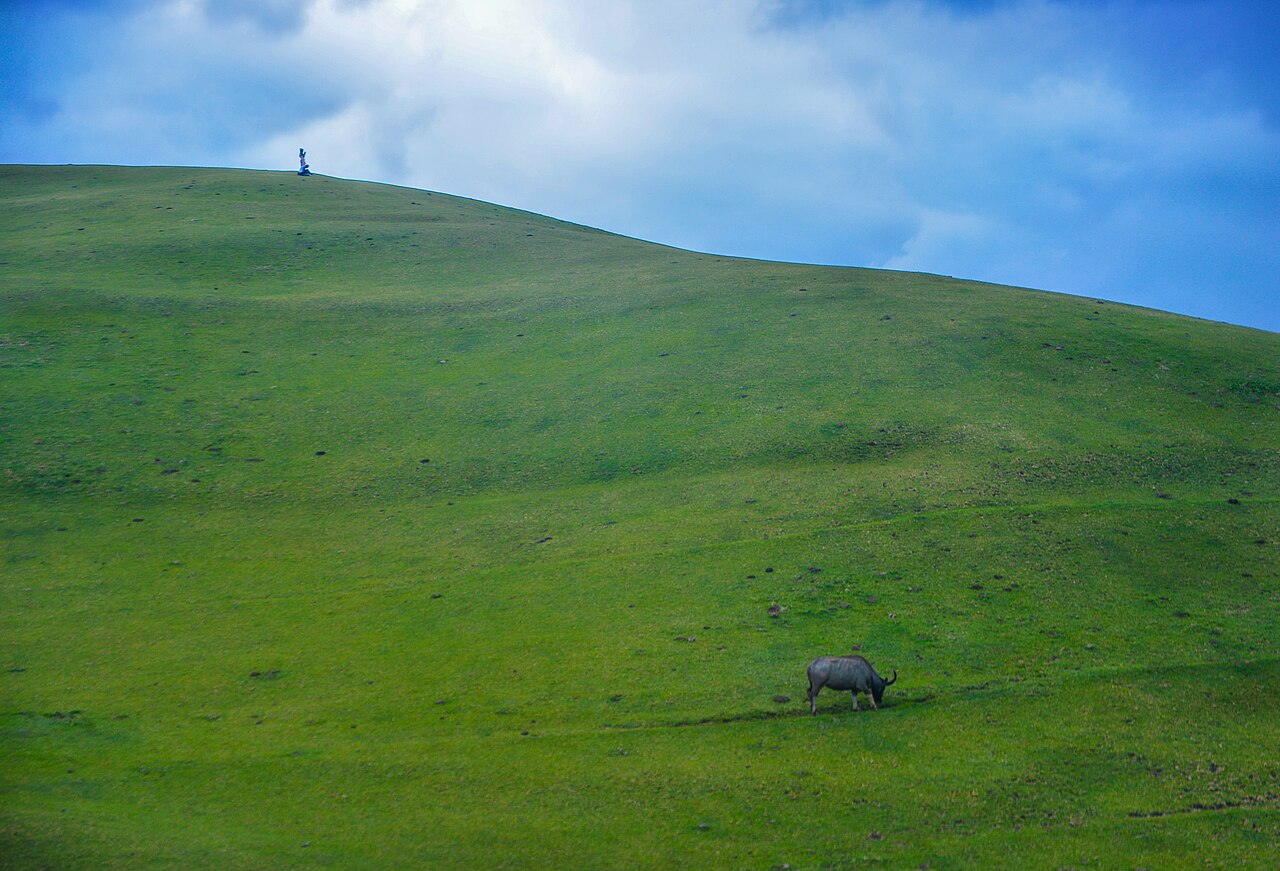 Hügellandschaft auf Batanes