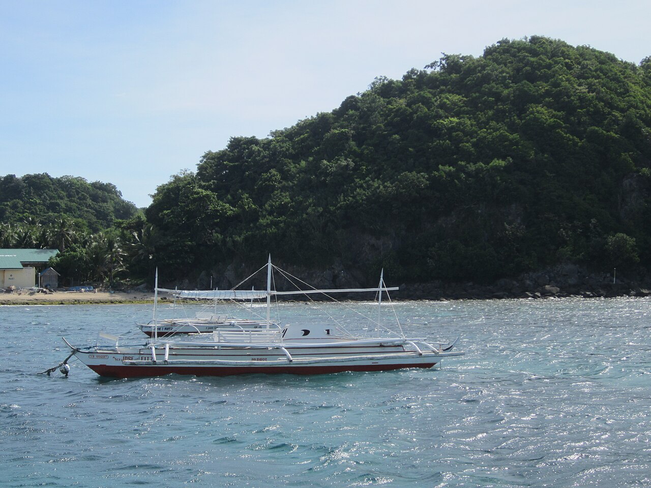 Küste von Apo Island